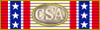 CSA Command Ribbon 