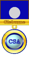 Patrick Cleburne Medal of Service