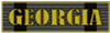 Georgia Ribbon for your fine service in the Army of Georgia 