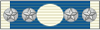 5th Old Reliable Medal of Recognition - Army of Tennessee (AoT) 