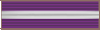 Order of the Purple Eagle Medal of Recognition - 1st Award