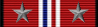 2nd Honor Guard Medal