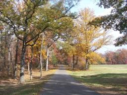 Reconnoitering Road 2.jpg