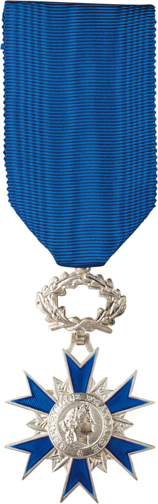 Master of Europe V French Victory Medal