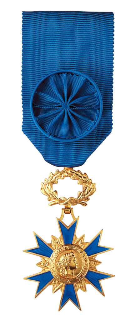 Master of Europe VI French Victory Medal