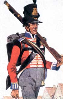 Hanoverian Infantry