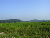 North of Saint-Vaast