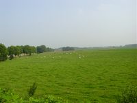Southeast of Quatre Bras