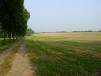 South of Gemioncourt Farm