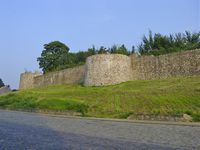 Walls of Binche