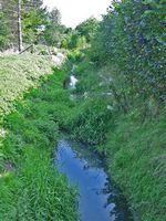 Ligne Brook
