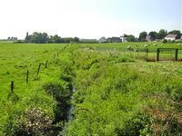 Ligne Brook at Saint-Amand-la-Haie