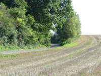 Sunken road