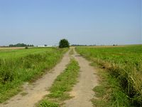 Old Roman Road