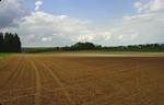 Looking NW from Rochusberg hill