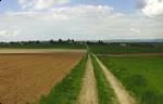Looking north from Rochusberg