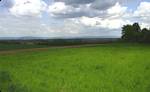 Looking northeast from Rochusberg
