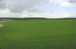 Looking north from Oberlaichling