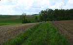 Looking west from Bettelberg