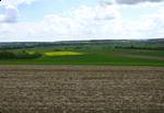 Looking south from Bettelberg