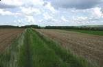 Looking east from Bettelberg