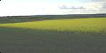Looking southeast from Klosterberg