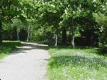 Napoleonstein near Oberisling