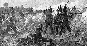 Brunswick Infantry
