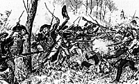 Skirmish in Woods