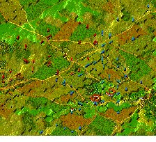 Situation prior to Allied Movement