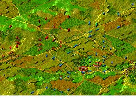 Situation after Allied movement