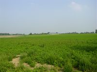 Northwest of Quatre Bras